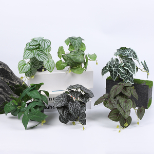 Decorazioni per la <span class=keywords><strong>Casa</strong></span>: Piante Artificiali in Plastica Quasi Naturali, Basso MOQ, Personalizzabili, Creative, Ecologiche e Moderne - Product Image 3