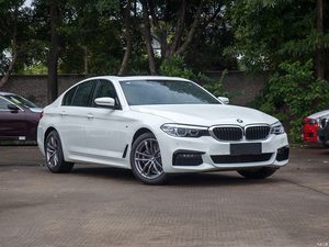 Factory Directly Sell High End In-channel Injection Deflector Window <b>Visor</b> for BMW 5 SERIES G30 2018-2020 - Product Image 3