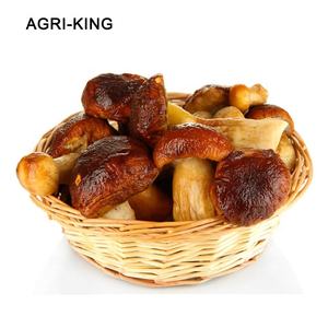 Hongos Enteros Congelados IQF <span class=keywords><strong>Boletus</strong></span> <span class=keywords><strong>Edulis</strong></span>, Paquete de 10 kg, 24 Meses de Duración - Product Image 1