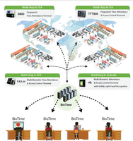 Logiciel biologique de gestion de l'heure et de service, avec empreintes digitales sur le Web, puissant dispositif personnel (BioTime 8.0)