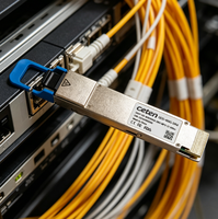 QDD-400G-DR4 400GBASE-DR4 QSFP-DD PAM4 1310nm 500m DOM MPO-12/APC SMF Modul Transceiver Serat Optik untuk Telekomunikasi 5G Garansi 3 Tahun