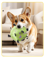 Ballon de football gonflable couineur pour animaux de compagnie, jouet interactif d'extérieur pour chien, vente en gros d'usine - Offre Spéciale