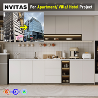 Armoires de cuisine modernes modulaires en bois NVITAS, comptoirs en résine stratifiée, construction en verre et contreplaqué pour projets hôteliers et d'appartements