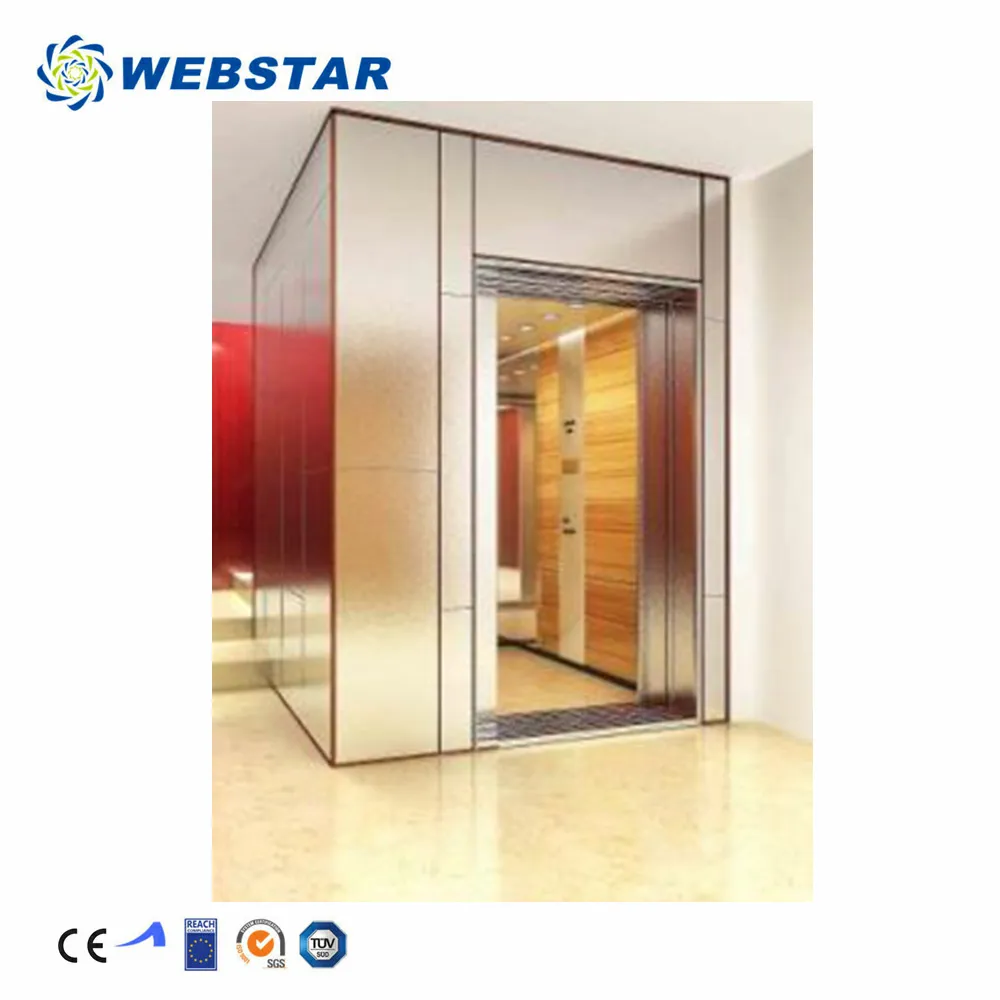360kg Small Home Elevator Lift Screw Glass Elevator with Good Price