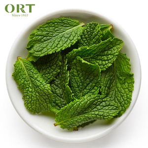 Hojas de Menta Silvestre Orgánica Saludable, Hojas de Menta Verde, Menta Piperita, Hojas de Menta de Invierno para Té Adelgazante - Product Image 2