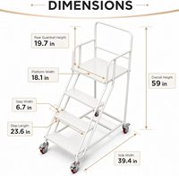Échelle mobile multifonctionnelle avec plateforme de travail, passerelle industrielle, escalier en acier, design moderne pour usage en entrepôt