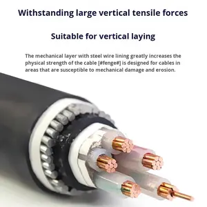 Yjv32 Yjv42 bakır çekirdek çelik telli zırhlı kablo <span class=keywords><strong>3</strong></span> çekirdekli 4 çekirdekli <span class=keywords><strong>3</strong></span> + 1 çekirdek <span class=keywords><strong>3</strong></span> + <span class=keywords><strong>2</strong></span> çekirdek 4 + 1 çekirdek PVC güç için 50 70 95 kare - Product Image 3