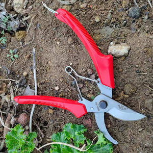 Tijeras de Podar para Árboles Frutales Butterfly 104B, Acero Inoxidable, Mango Rojo, Hoja de 50 mm, Herramienta de Jardinería y Horticultura - Product Image 5