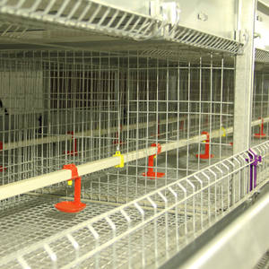 Vendita direttamente in fabbrica a basso prezzo H tipo bambino pulcino cotton <span class=keywords><strong>Cage</strong></span> giorno vecchio pulcino gabbia di pollo gabbia batteria - Product Image 5