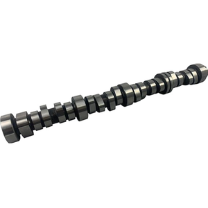 Albero a Camme Billet Power per <span class=keywords><strong>Chevrolet</strong></span> <span class=keywords><strong>Tahoe</strong></span> 5.3L V8 OHV con AFM - Product Image 4