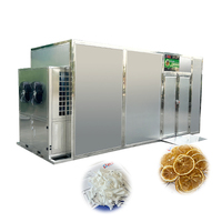 Industriële tropische fruitdroogmachine voor kokosnoot, citroen en meer fruit