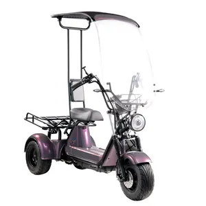 OEM/ODM üç mermi yetişkin elektrikli araba 2000W üç tekerlekli bisiklet 3 tekerlekli teslimat yetişkin elektrikli scooter