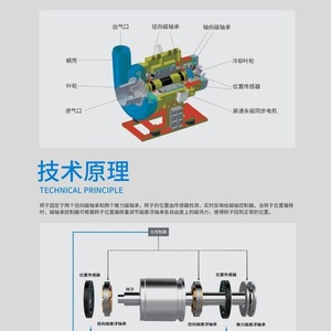 ปั๊มความร้อนแบบแม่เหล็กไฟฟ้า Bach Magnetic Levitation Screw Heat Pump ขนาด Dn15 Dn300 แบบสองทาง ประหยัดพลังงาน พร้อมหน้าแปลนแบบใช้แรงดันบรรยากาศ - Product Image 2