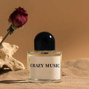 Premium Luxury Spicy Scent Durable Liquid Air Freshener Fashion Private Label Perfume Logo - Product Image 2