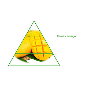 Großhandel hoch konzentrierte <span class=keywords><strong>Mango</strong></span> fruchtige Duftöle für Aroma Diffusion Seife Kerze Körper Parfüm Flüssigkeit Herstellung - Product Image 2