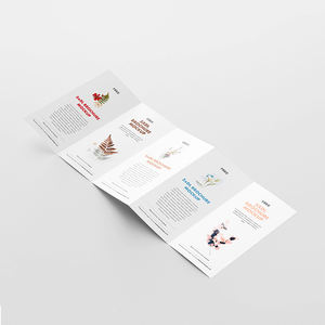 ホットファッションA4三つ折りパンフレットオフセット紙リーフレット折りたたみアコーディオンスタイル（パンフレットまたはカード印刷用） - Product Image 5