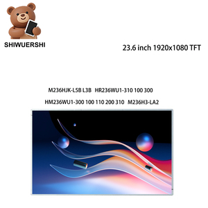 Écran LCD 23,6 pouces 1920*1080 LVDS 30 broches de remplacement M236HJK L5B L3B HR236WU1 310 100 300 HM236WU1 300 100 110 200 310 M236H3 LA2 - Product Image 1