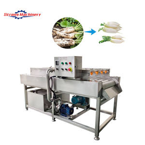 Máquina de limpieza de mariscos con cepillos de rodillos paralelos, máquina de limpieza de pescado - Product Image 4