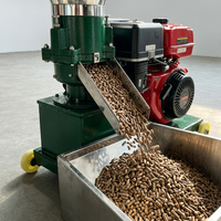 Machine à granulés diesel 500-1000 kg/h pour aliments animaux, moteur diesel 24 CV, matrice plate pour élevages bovins, porcins et ovins