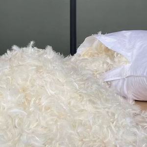 Terlaris disesuaikan 100% bebek bawah putih bebek bulu diisi dekoratif bantal rumah - Product Image 3