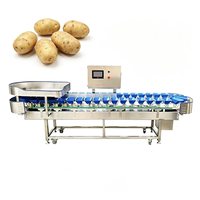 Industriële sorteer- en sorteermachine voor avocado's, tomaten, appels, mango's, meloenen en aardappelen op maat.