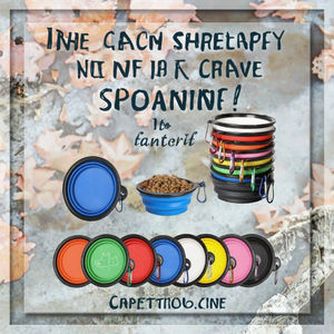 Tigelas Portáteis Dobráveis de Silicone e Plástico Ecológico à Prova d'Água para Pets com Tampas e Mosquetões: Solução Sólida e Fácil para Alimentação - Product Image 2