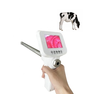 Équipement d'insémination artificielle vétérinaire pour porcs, moutons, vaches, kit d'insémination artificielle pour chiens - Product Image 1