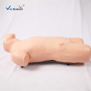 Simulador de entrenamiento de PVC De ciencia médica avanzada modelo de entrenamiento de enfermera para maniquí de punción de médula ósea - Product Image 1