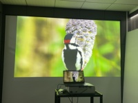 Proyector 4K de 4800 Lúmenes, Pantalla Increíble, Proyección Inmersiva en Interiores, Proyector de Mapeo para Proyección Interactiva de 360 Grados