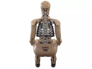 <span class=keywords><strong>Crash</strong></span> <span class=keywords><strong>Test</strong></span> Manequim Automotivo 50M ATD Vinil Revestido para Simulações Colisão Frontal - Product Image 5