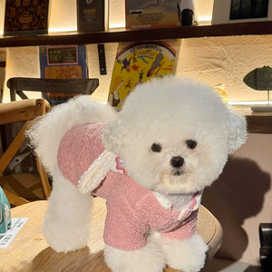 Abrigo para Perro con Diseño de Cuello de Conejo, Color Liso y Felpa, Ropa para Perro, Suministros para Mascotas, Sostenible para Perros Pequeños - Product Image 4