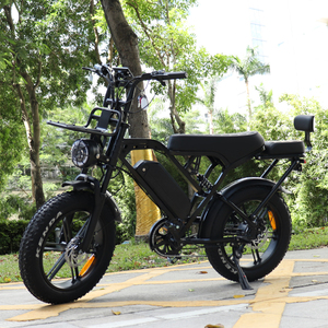 Vélo électrique X80Pro 20 pouces Fatbike X80 Pro, moteur puissant 250W, vélo électrique confortable à conduire, prix compétitif. - Product Image 4