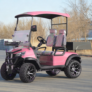 2 <strong>Seater</strong> Pink Adjustable Seats <strong>Electric</strong> Club <strong>Car</strong> Golf Carts Equipped with 3.5KW AC Motor for Off-road Hunting - Product Image 4