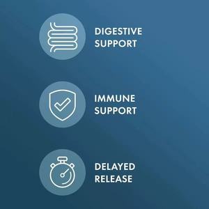 H2 phân tử Hydrogen magiê máy tính bảng cho năng lượng chống mệt mỏi ngủ hỗ trợ chất chống oxy hóa phong phú OEM Nhà máy cung cấp - Product Image 2