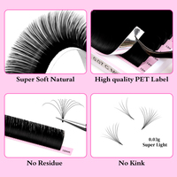 Lymeebeauty Easy Fan Extensions de cils 0.03 0.05 Cils auto-florissants Cils à plateau mixte Vison Easy Fan Lashes