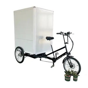 Caja trasera <span class=keywords><strong>Velomobile</strong></span> 3 ruedas Ebike Cargo Trike Frame Nuevo triciclo de carga más fuerte Seguridad y triciclos de carga eléctricos de tres ruedas - Product Image 5