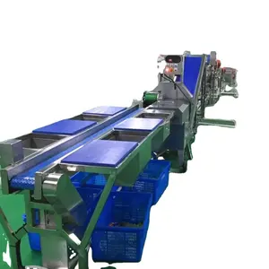 Automatic Date Washing Drying machines for vegetable