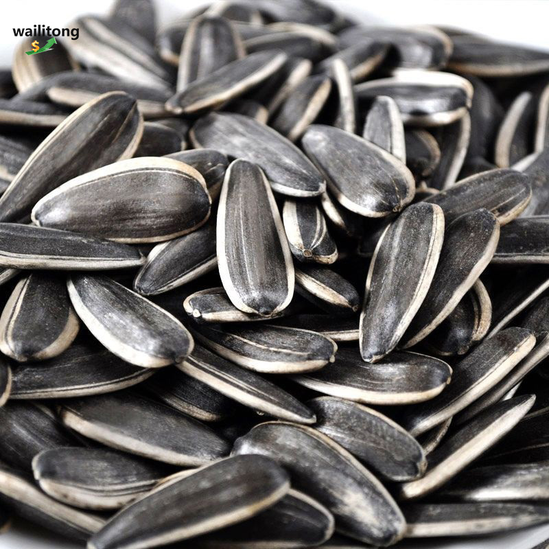 Fast Delivery Best Quality Bird Food White Bulk Sunflower Seeds 361