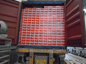 Sardina enlatada con picante a buen precio pescado sardina entero congelado en aceite vegetal - Product Image 6