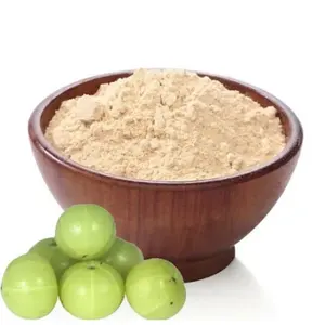 100% Organic Indian Gooseberry Amla Extract Powder Bulk Amla Juice Fruit Powder With The Best Service For Hair Care