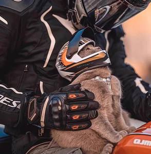 <span class=keywords><strong>Casco</strong></span> De Moda Para Mascotas Pequeñas, Gatos y Perros, A Prueba De Viento Para Motocicleta y Paseos Al Aire Libre - Product Image 6