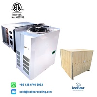 IceBear Chambre Froide Latérale Tout-en-un à Refroidissement et Congélation Économe en Énergie, Plage de Température -22~10°C avec Certification ETL