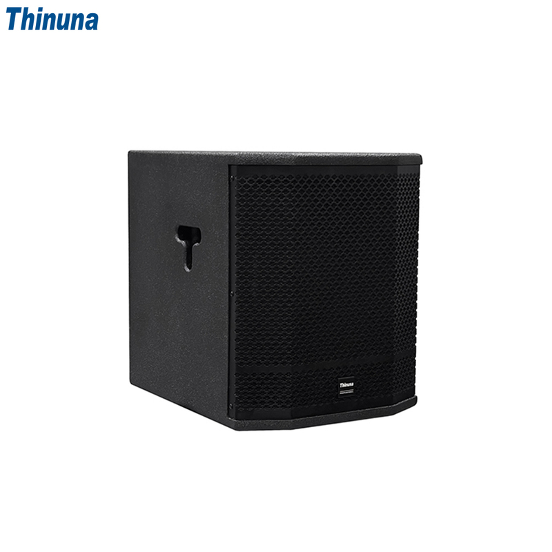 Thinuna T 12B Professional Sound Equipment