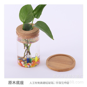 Glass Hydroponic Planter With Bamboo Base And Wooden Stopper For Desktop Green Plant Decoration - Product Image 4