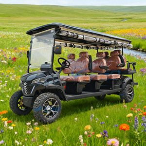 Luxury 6-8-Seater Electric Golf Cart Street Legal Low Speed Vehicle Steel-Frame Customizable Lead-acid <b>Battery</b> - Product Image 2