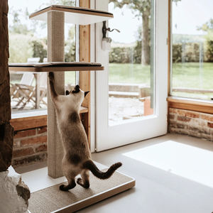 YOUME OEM-Ready Design un <span class=keywords><strong>arbre</strong></span> <span class=keywords><strong>à</strong></span> <span class=keywords><strong>chat</strong></span> moderne en bois d'épicéa de 109cm avec <span class=keywords><strong>tronc</strong></span> carré en sisal pour les maisons élégantes <span class=keywords><strong>Arbre</strong></span> <span class=keywords><strong>à</strong></span> <span class=keywords><strong>chat</strong></span> Tour d'<span class=keywords><strong>arbre</strong></span> <span class=keywords><strong>à</strong></span> <span class=keywords><strong>chat</strong></span> - Product Image 5