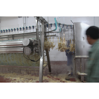 Machine d'abattage et d'épluchage de volaille (canards, poulets, etc.) à haute efficacité pour abattoir