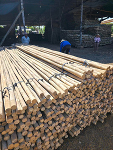 Bâton de bambou Tam Vong écologique, solide et naturel, pour le soutien des arbres agricoles, des jardins et la décoration extérieure - Product Image 3