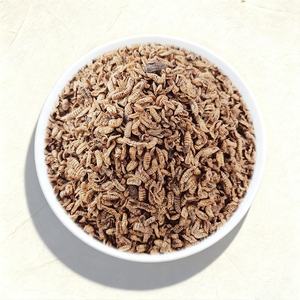 Larve di Mosca Soldato Nera Essiccate e Tostate Bioforte, Ricche di Proteine, per Uccelli Selvatici e Ornamentali in Gabbia, Ingredienti Naturali per Mangime - Product Image 1