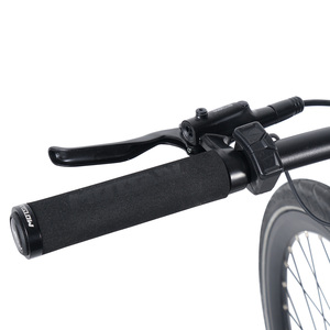 Bicicletta Elettrica da Strada C60 con Trasmissione a Cinghia, E-bike 700C, Batteria 36V 10Ah, Motore 250W, 25km/h, Sensore di Coppia, Bici Elettrica per Adulti - Product Image 5